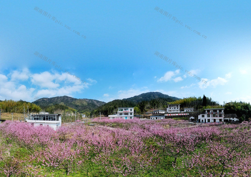 湖南桂东 产业 乡村 美 青竹村 旅游民宿