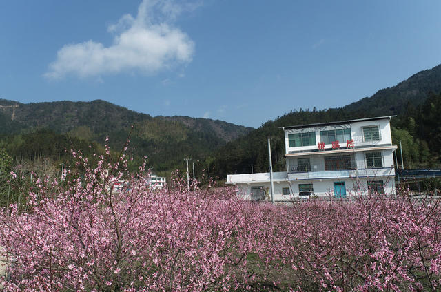 湖南桂东 产业 乡村 美 青竹村 旅游民宿