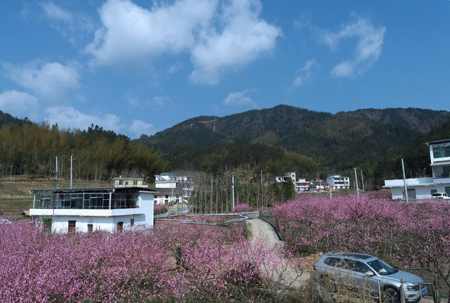湖南桂东 产业 乡村 美 青竹村 旅游民宿