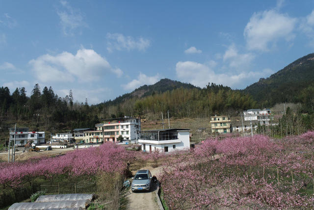 湖南桂东 产业 乡村 美 青竹村 旅游民宿