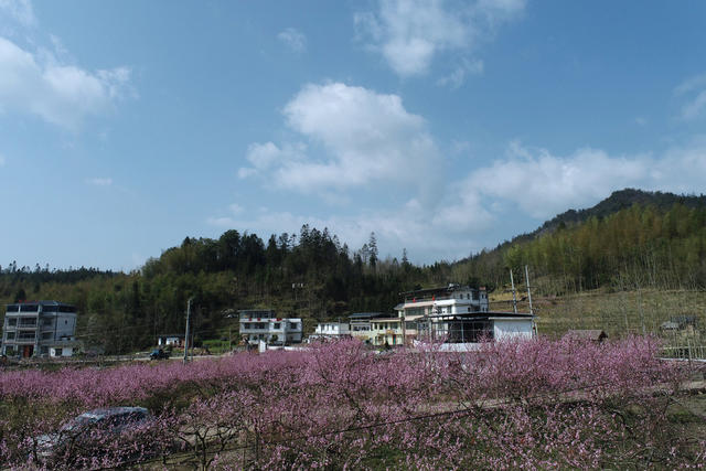 湖南桂东 产业 乡村 美 青竹村 旅游民宿