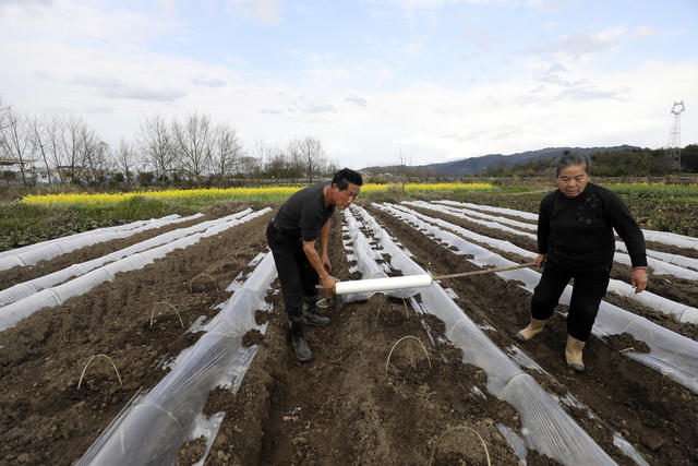 人勤春早 春耕备耕 抢抓农时 农事忙
