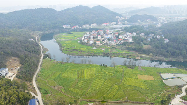 湖南娄底,和美,乡村,油菜花