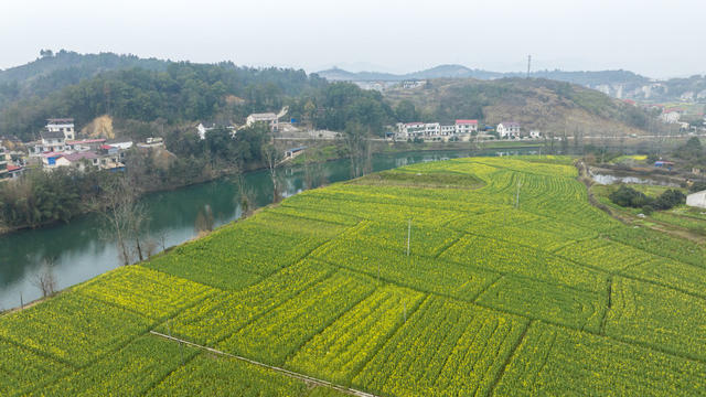 湖南娄底,和美,乡村,油菜花