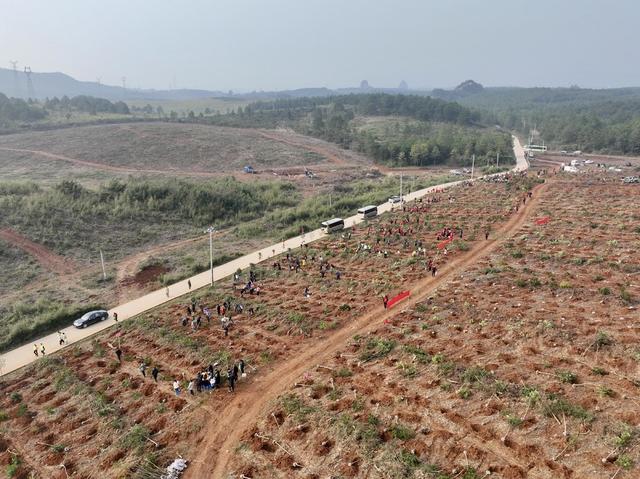 植树  绿化  生态  党员  志愿者  乡村