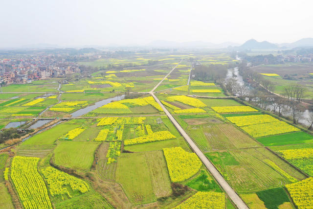 乡村 美景