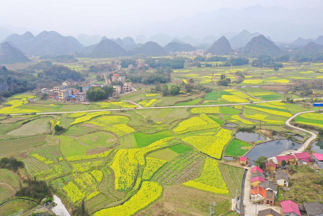 乡村 美景