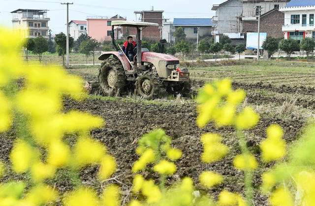 春耕生产 耕田机  农机 犁田 农村   农业 农民 天气   粮田  春耕备耕