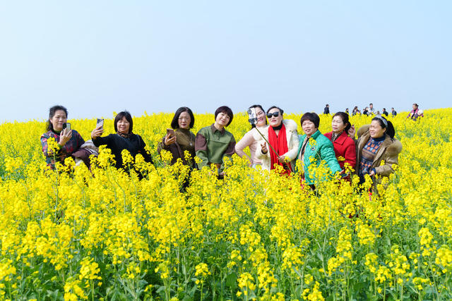 妇女节 踏春赏花