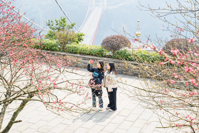 三八国际妇女节  矮寨大桥景区迎游客 