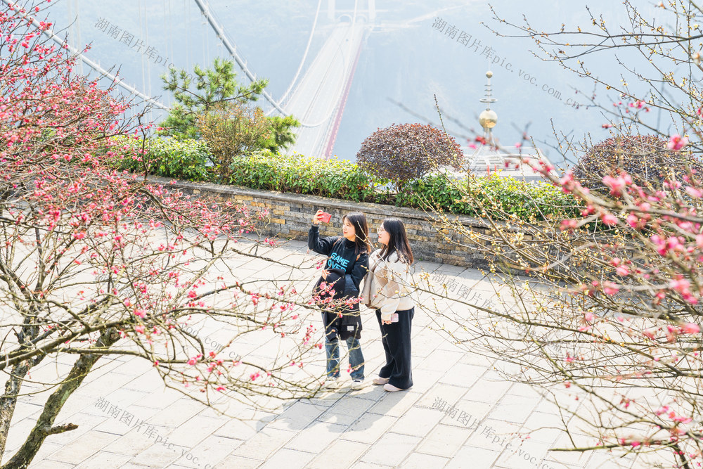 三八国际妇女节  矮寨大桥景区迎游客 