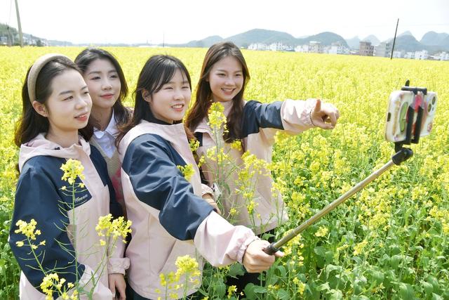  油菜花开春意闹