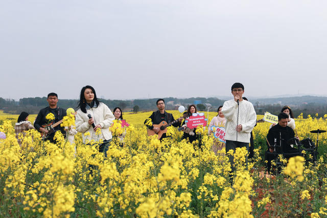 油菜花 旅游 踏青 三八 三八妇女节 