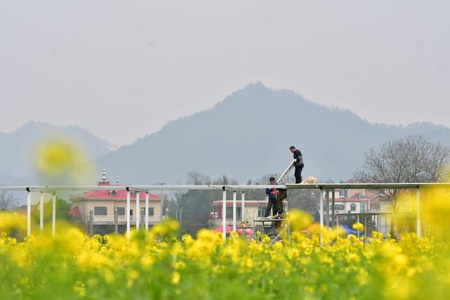 光伏  绿色  太阳能  低碳  乡村振兴  发电