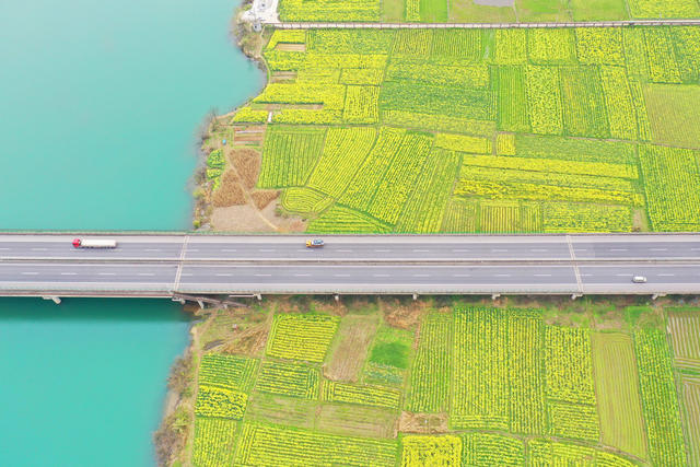 交通 高速 景美