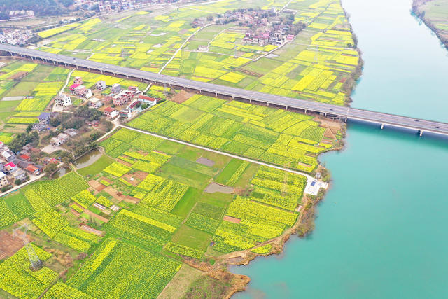 交通 高速 景美