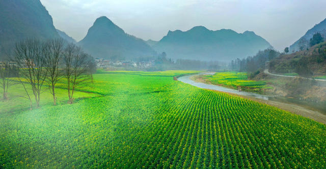 湖南 龙山 如诗如画 春光 小河 薄雾  油菜花 油菜叶 山村