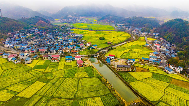 农村  古村落   油菜花   生态旅游   怀化中方