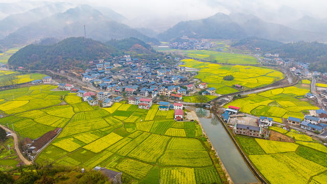 农村  古村落   油菜花   生态旅游   怀化中方