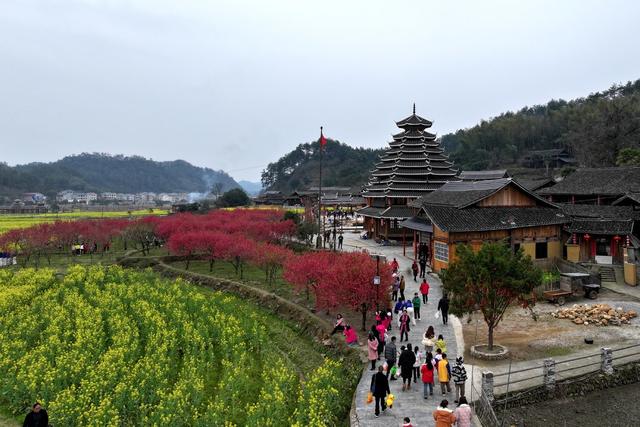 春天、花、乡村、旅游、景色