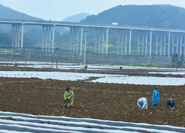 湖南蓝山：田间助农忙
