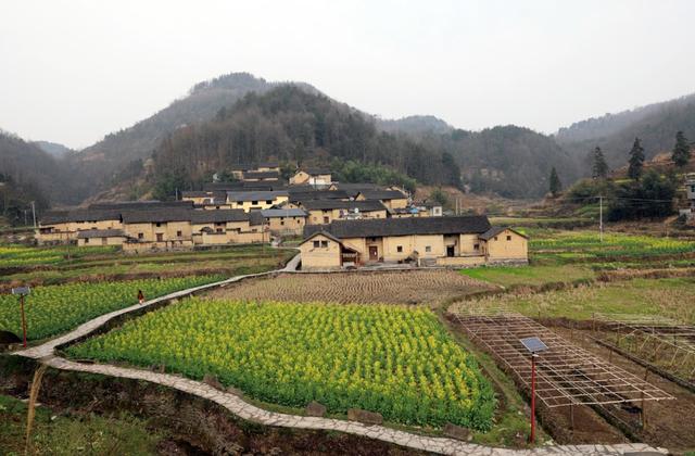 凤凰县 千工坪 黄沙坪  油菜花开 春意盎然  传统古建筑