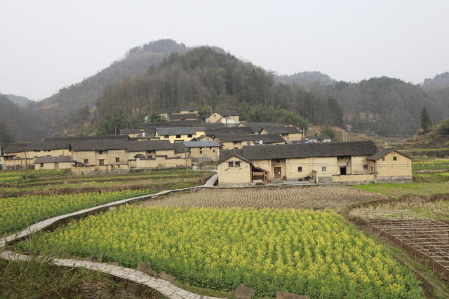 凤凰县 千工坪 黄沙坪  油菜花开 春意盎然  传统古建筑