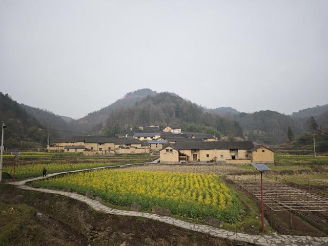 凤凰县 千工坪 黄沙坪  油菜花开 春意盎然  传统古建筑