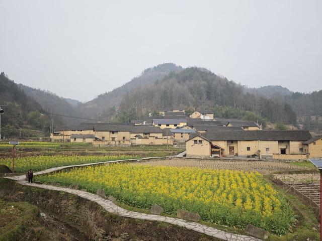 凤凰县 千工坪 黄沙坪  油菜花开 春意盎然  传统古建筑