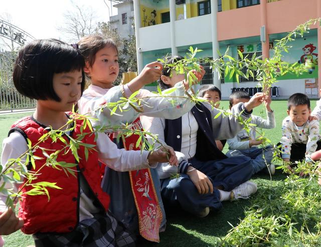 清明戴柳   祈福平安