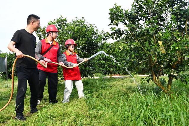 保电力  保春灌