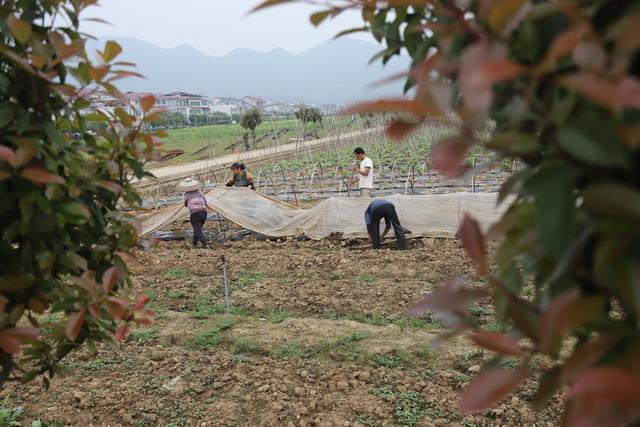 农事 春季 农事