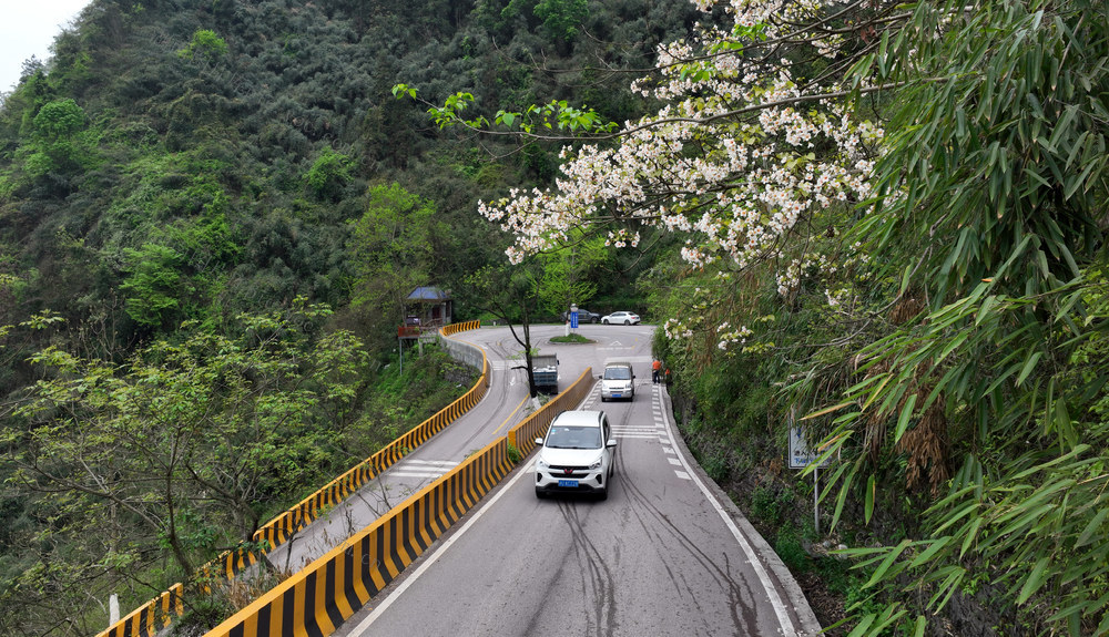 公路 花 车 山 