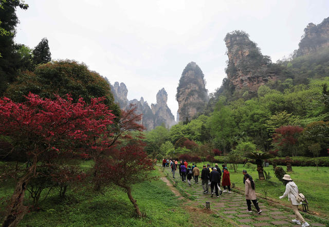 张家界国家森林公园 旅游 旺季