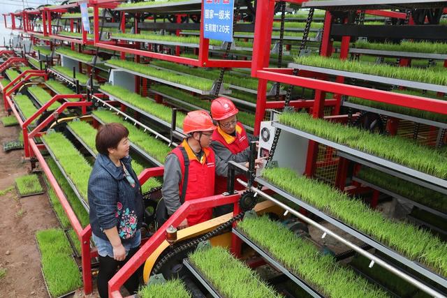 湘西 首家全自动育秧工厂 供电服务