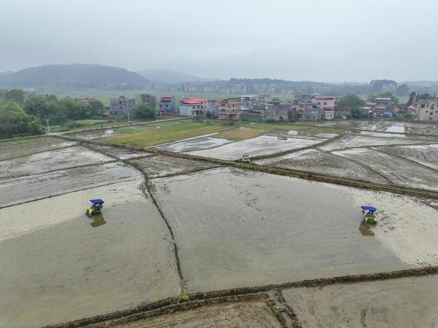 春耕
机械化
早稻
道县