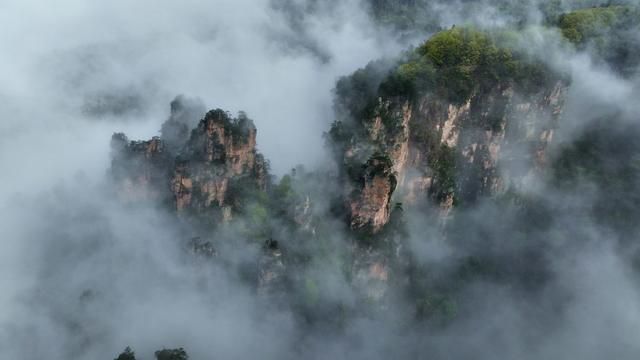 张家界 旅游 武陵源 张家界国家森林公园 云海