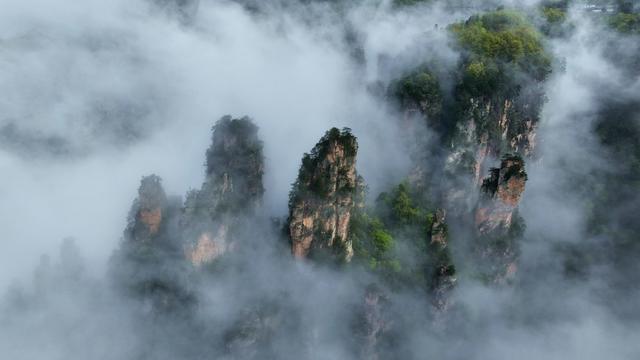 张家界 旅游 武陵源 张家界国家森林公园 云海