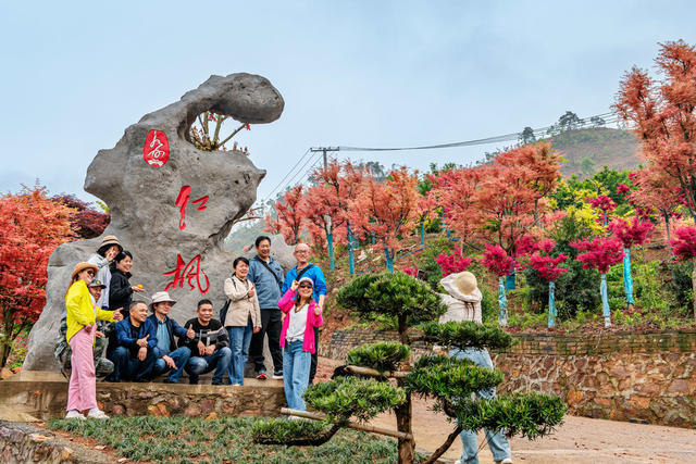 旅游  红枫