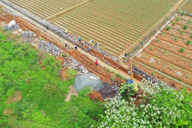 春耕备耕  春耕生产  农业生产  早稻插秧  兴修水利  修建水渠  田间农事  