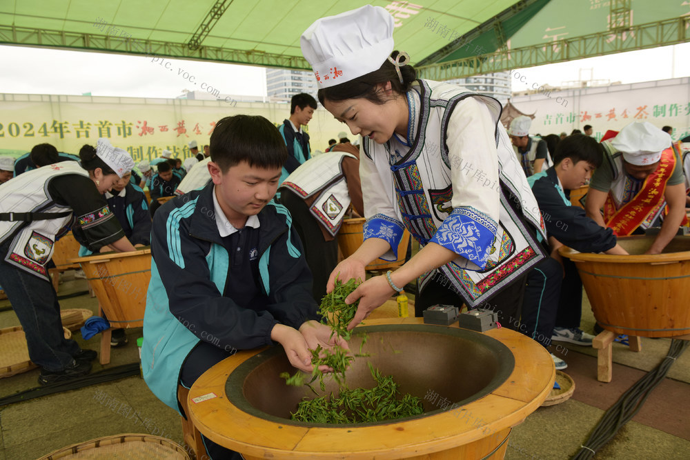 茶  茶模 茶艺 赛 学生 制茶师 传承 茶文化