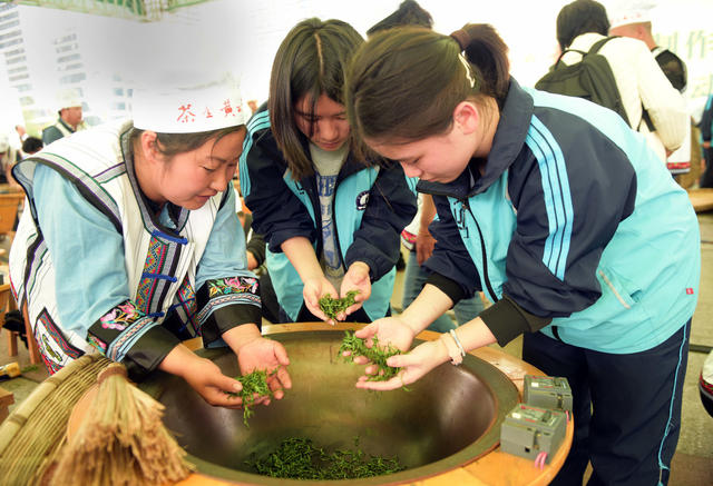 茶  茶模 茶艺 赛 学生 制茶师 传承 茶文化