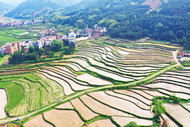 蓝山：乡村田园春色美