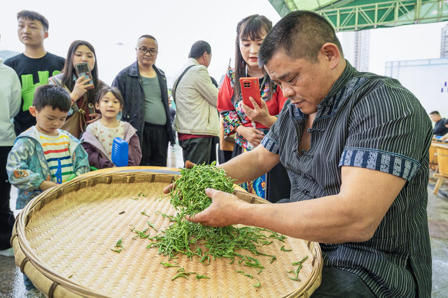 湘西黄金茶品鉴营销活动纷呈  助力农户春茶营销  提升湘西黄金茶知名度
（注：这几天销售额第一天订购1850万元，后来又陆续增加400万元，但是最后数据一直还没统计好，也不好写到正文）
