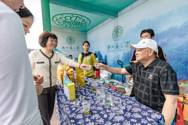 湘西黄金茶 吉首  品茶