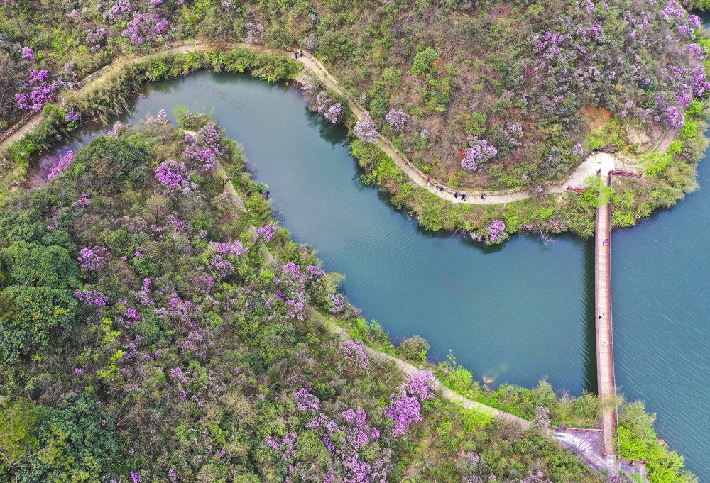 踏青  赏花  休闲 春色  春景  春花