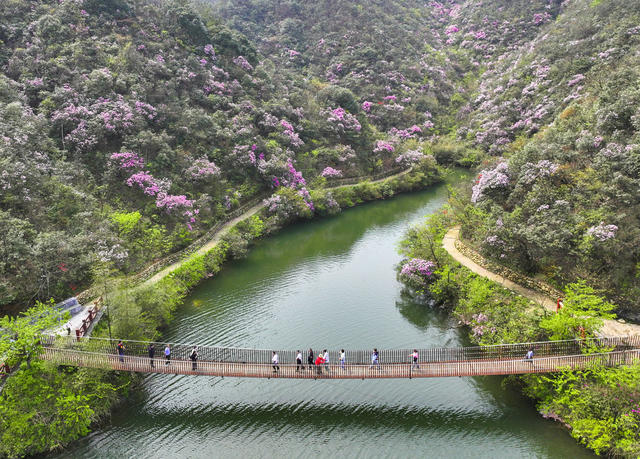 踏青  赏花  休闲 春色  春景  春花