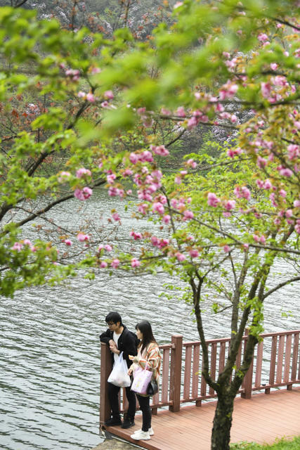 踏青  赏花  休闲 春色  春景  春花