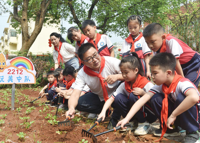 嘉禾：体验劳动助成长