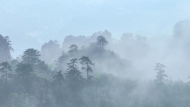 张家界 旅游 武陵源 黄石寨 张家界国家森林公园